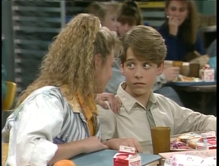 Mr. Belvedere Season 5 & Season 6 DVD - Image 4