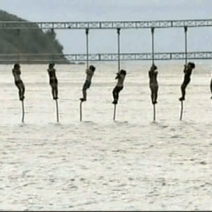 Endurance Season 6 DVD